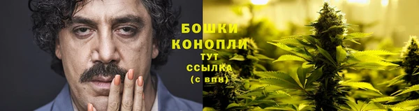 соль ск Надым