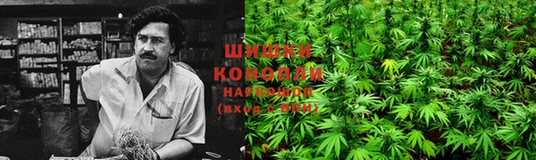 соль ск Надым